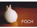 Foch