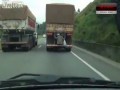 Nietypowy pasażer na gapę