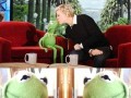Kermit 