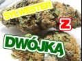 Sylwester z dwójka