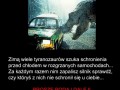 Bardzo ważne