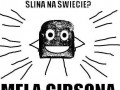 Najsławniejsza ślina