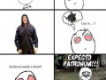 Pijany Harry Potter