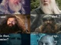 Hp & lotr