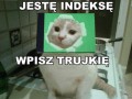 Jestę indeksę