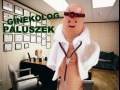 Paluszek 