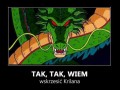 Dragon Ball Z