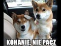 Czo ja widzam