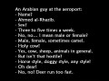 Arab na lotnisku