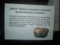 Kibice Widzewa