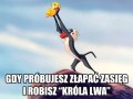 Zasięg