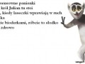 Wyginam śmiało ciało