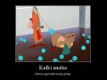 Kulki analne