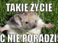 Życie 