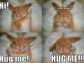 Hug 