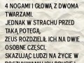 2 Połówka
