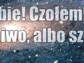 Turbo świdro karp 