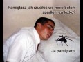 Pajączek