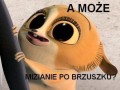 Mizianie po brzuszku