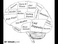 Brain