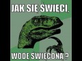 Przemyślenia dinozaura