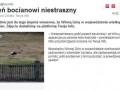 Bocianowi nie straszna zima