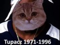 Tupacz 1971-1996