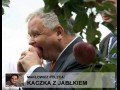 Kaczka z jabłkiem