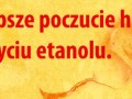 Turboświdrokarp