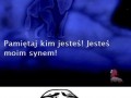 Pamiętaj Król Lew