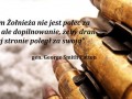 Zadanie żołnierza