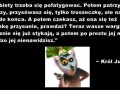 Król Julian