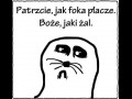 Foka płacze