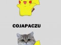 Co ja paczu