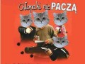Chopaki nie paczą