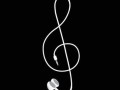 Muzyka