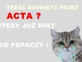 Acta   