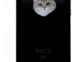 Ipacz 3Gs 8gb