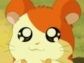 Hamtaro