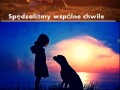 Szanuj wszelkie istoty oddychające