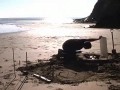 Co ciekawego można (z)robić na plaży...?