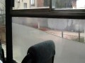 Akwarium w autobusie
