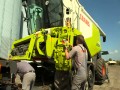 Rekord świata w zbiorze pszenicy w ciągu 8 godzin