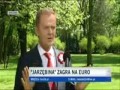 Tusk o Koko Euro Spoko