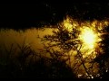 Sophie Ellis Bextor - Starlight