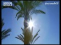 Markus Schulz - Ibiza