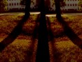 Simian Ghost - Bicycle Theme
