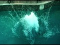 dEUS - Ghost