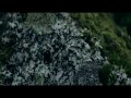 Zulu Winter - We Should Be Swimming