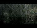 First Aid Kit - The Lions Roar